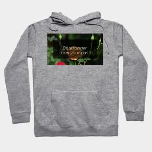 Garden Hoodie